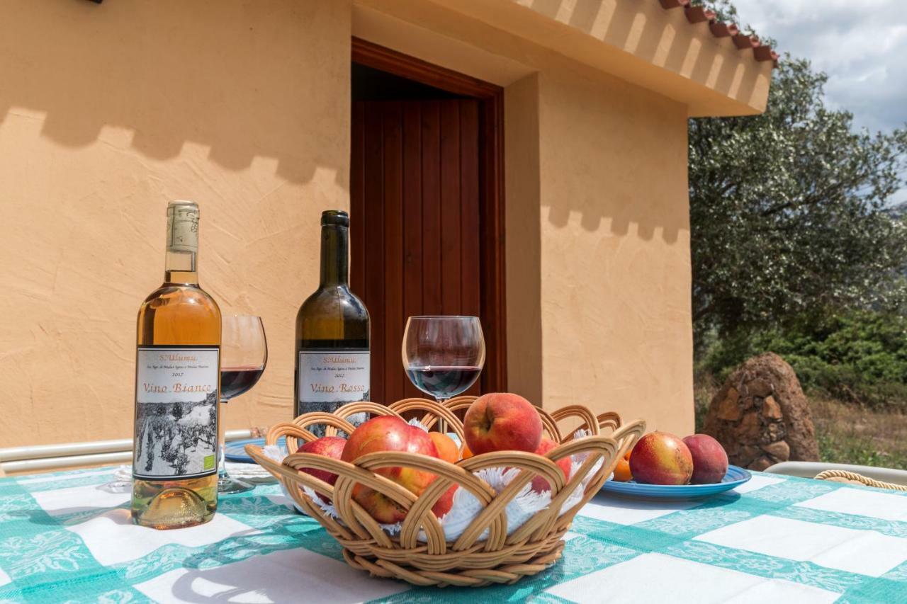 S'Ulumu Guest House Dorgali Eksteriør bilde