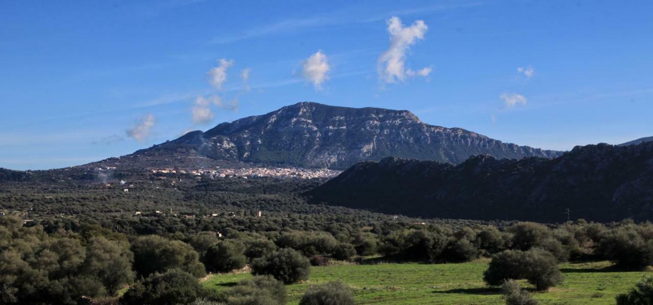S'Ulumu Guest House Dorgali Eksteriør bilde